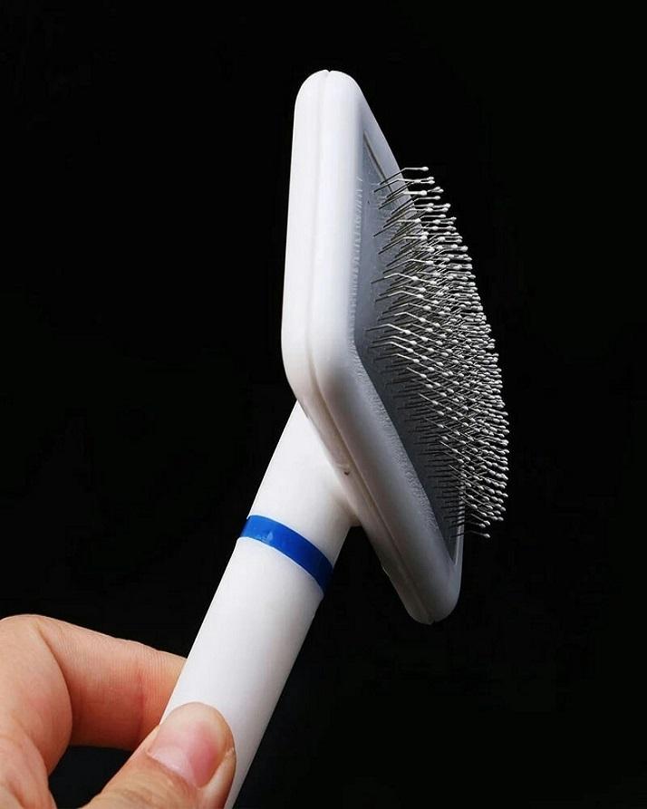 Cat Hair Brush Rake Comb Price in Pakistan View Latest Collection of