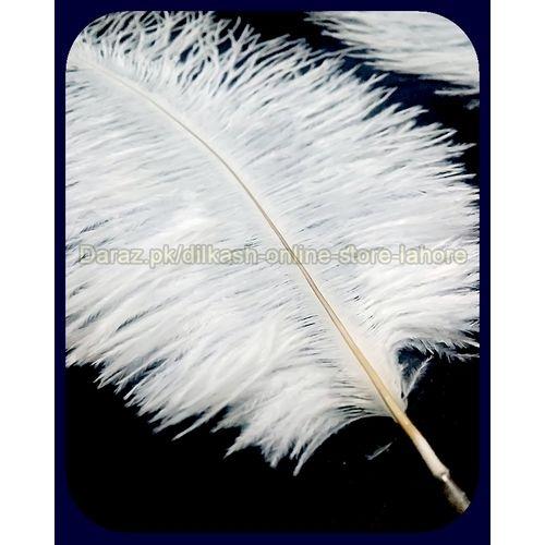 orchid feathers wholesale