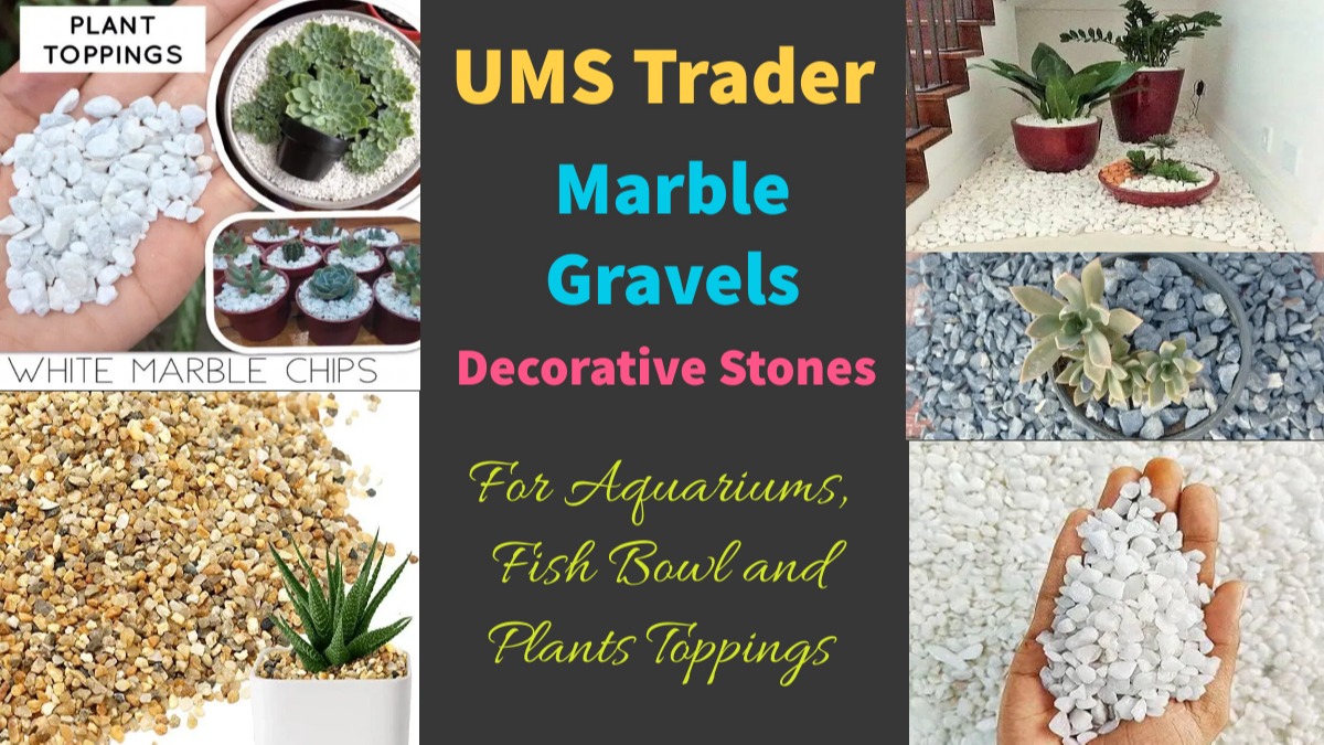 Shop online with UMS Trader now! Visit UMS Trader on Daraz.