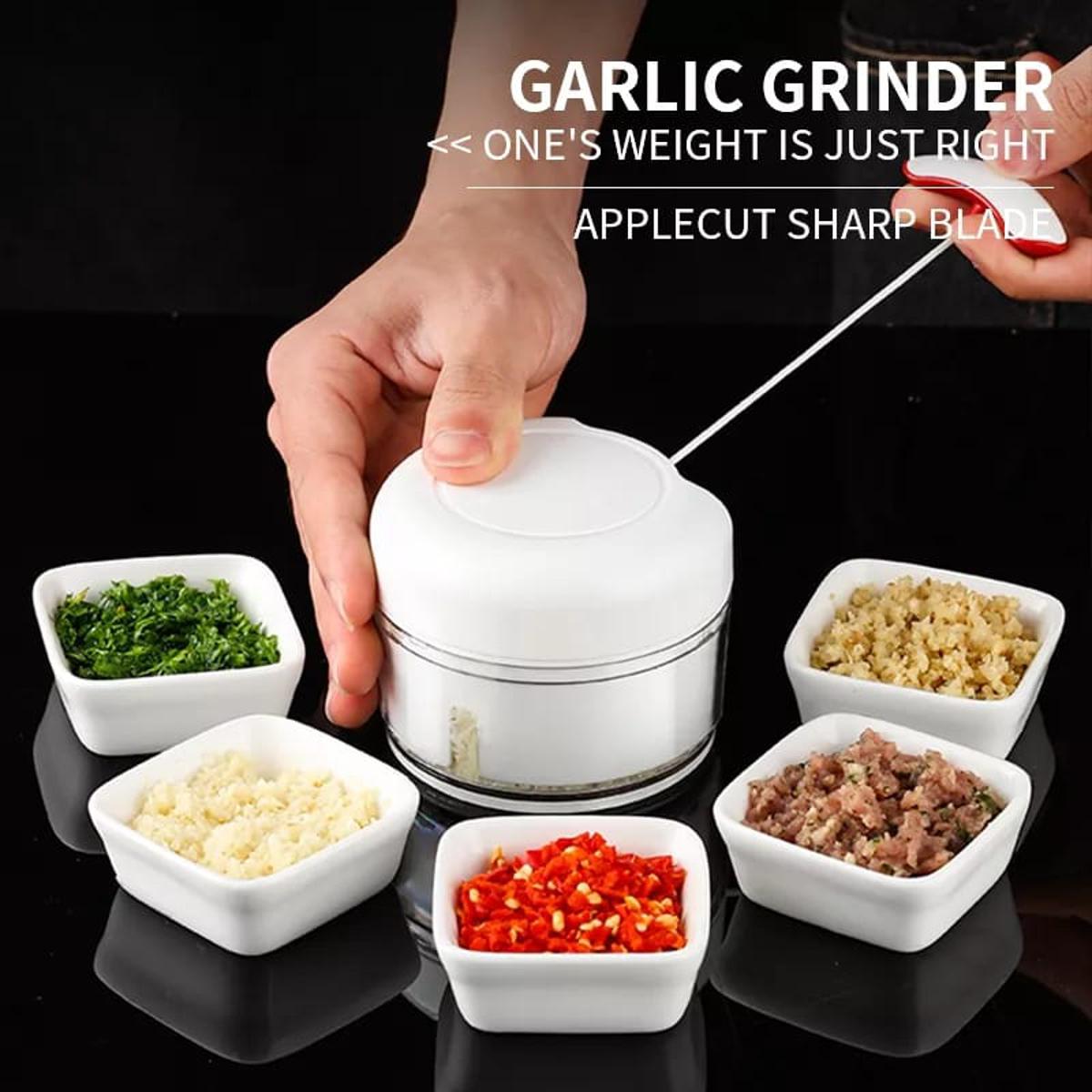 Combo deal Garlic Tool + Mini Chopper Grinding Crusher Chopper Kitchen Gadget — Buy Online at Best Price in Pakistan on FlipcartPK