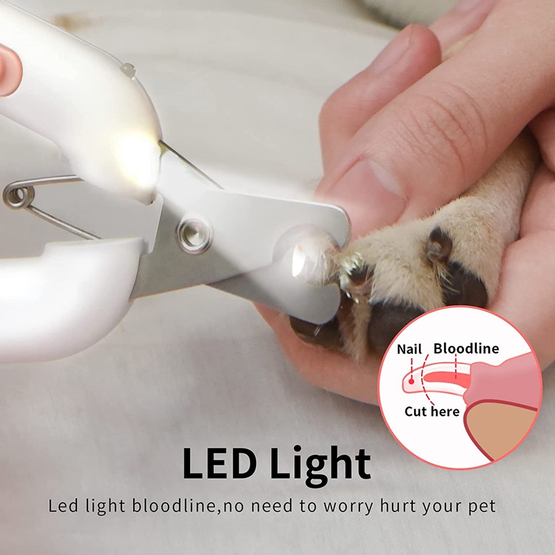 Do Led Lights Bother Dogs