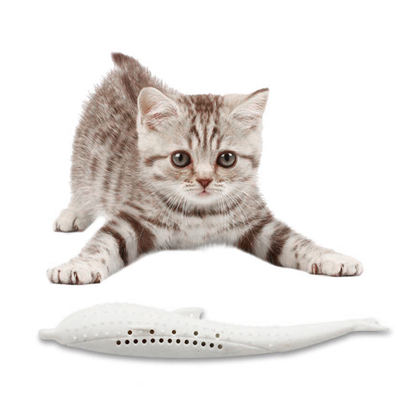 cat toothbrush australia