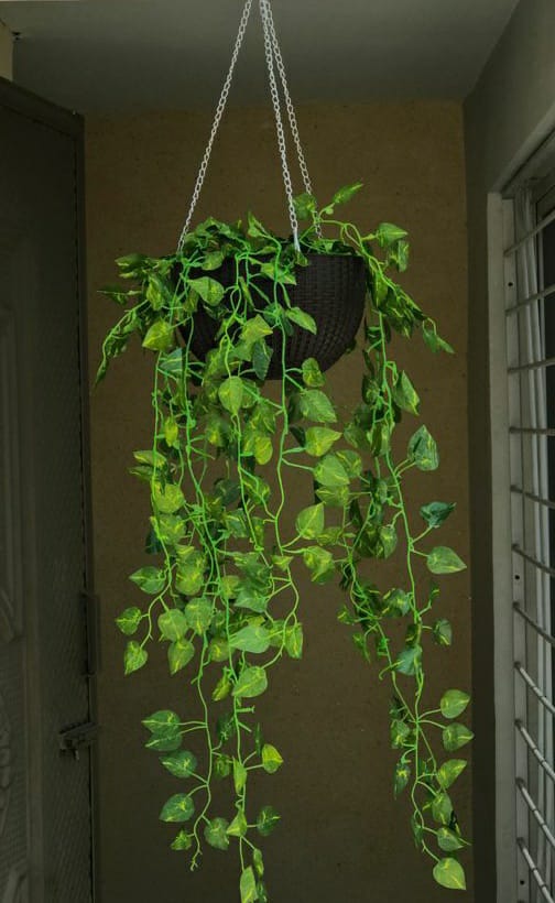Deco.pk hanging pots/nest with artificial plant bunch bail for