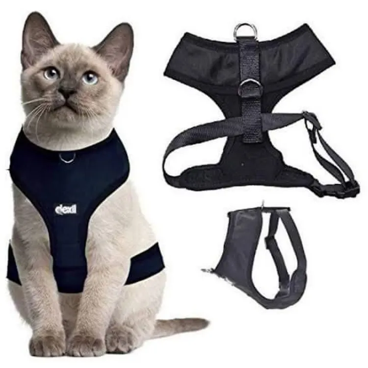 Cat best sale chest harness