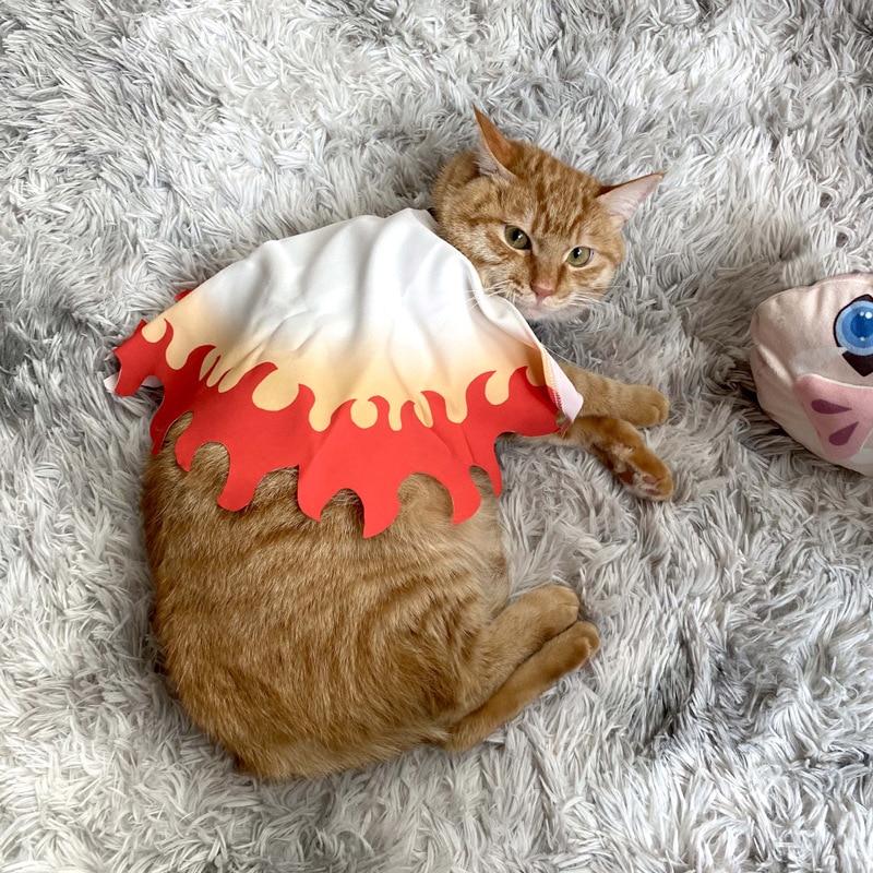demon cat costume
