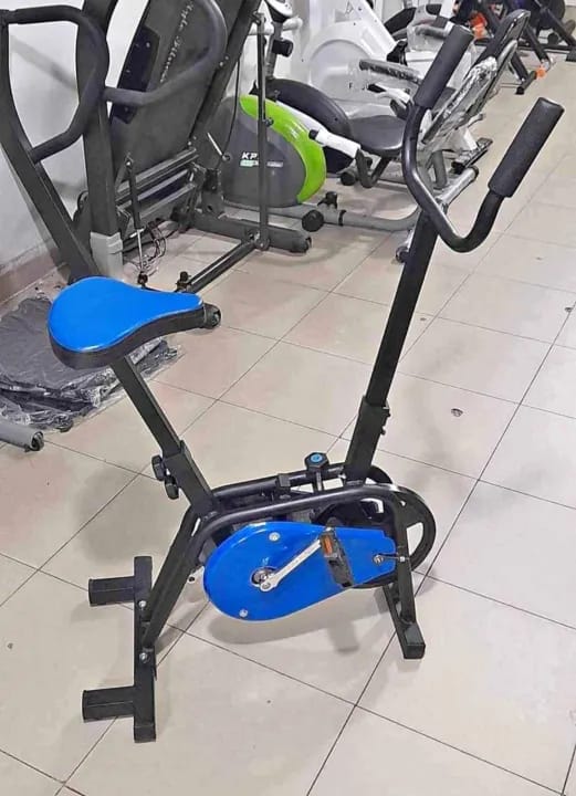 Exercise Cycle Magnetic Home Workout Machine Stationary Bike Cardio Fitness Equipment Adjustable Resistance Indoor Training