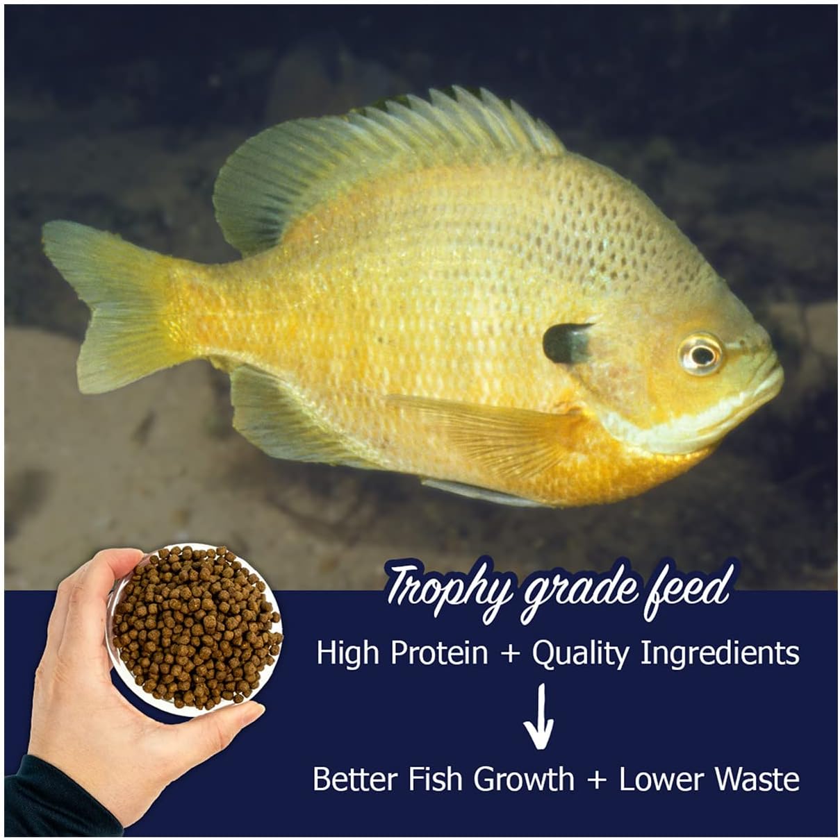 Natural Waterscapes Game Fish Food Variety | Pond and Lake Fish Food | 2 lb Bag | Feed to Bass, Bluegill, Trout, Catfish, tilapia | Floating