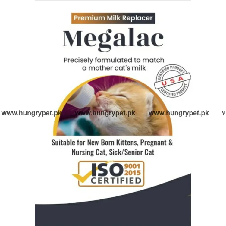 Feline milk replacer sale