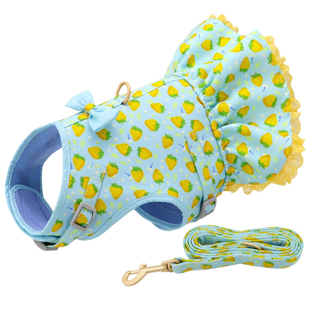 skirted dog harness