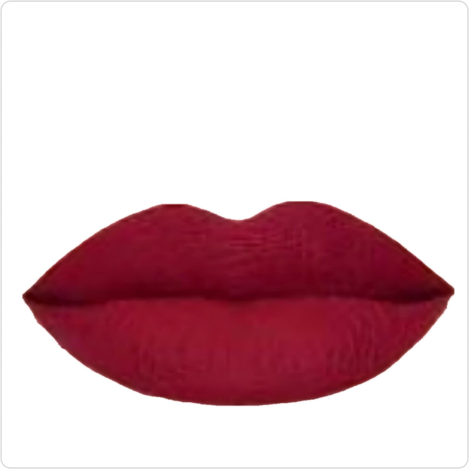 Branded Matte Maroon Lipsticks