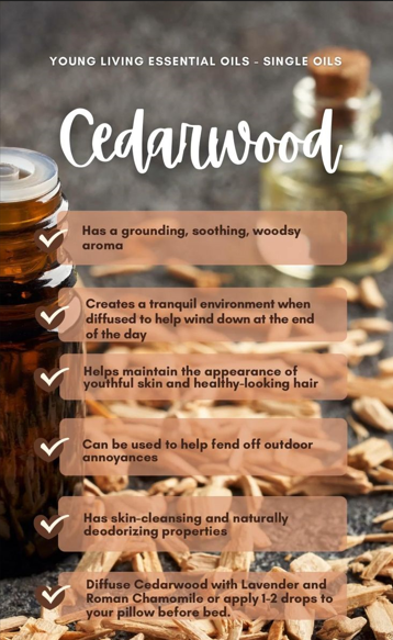 Cedarwood Essential Oil – Natural Skin Soothing Oil for All Skin Types ...