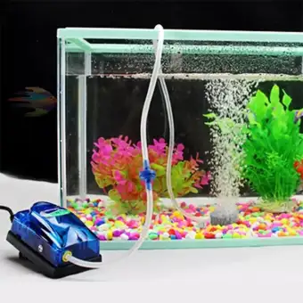 aquarium price online