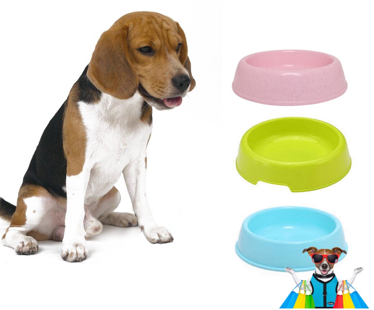 10 inch dog bowl