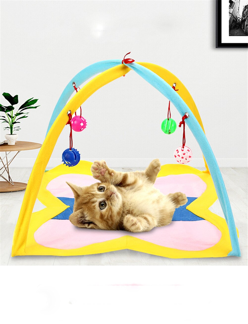 cat play tent