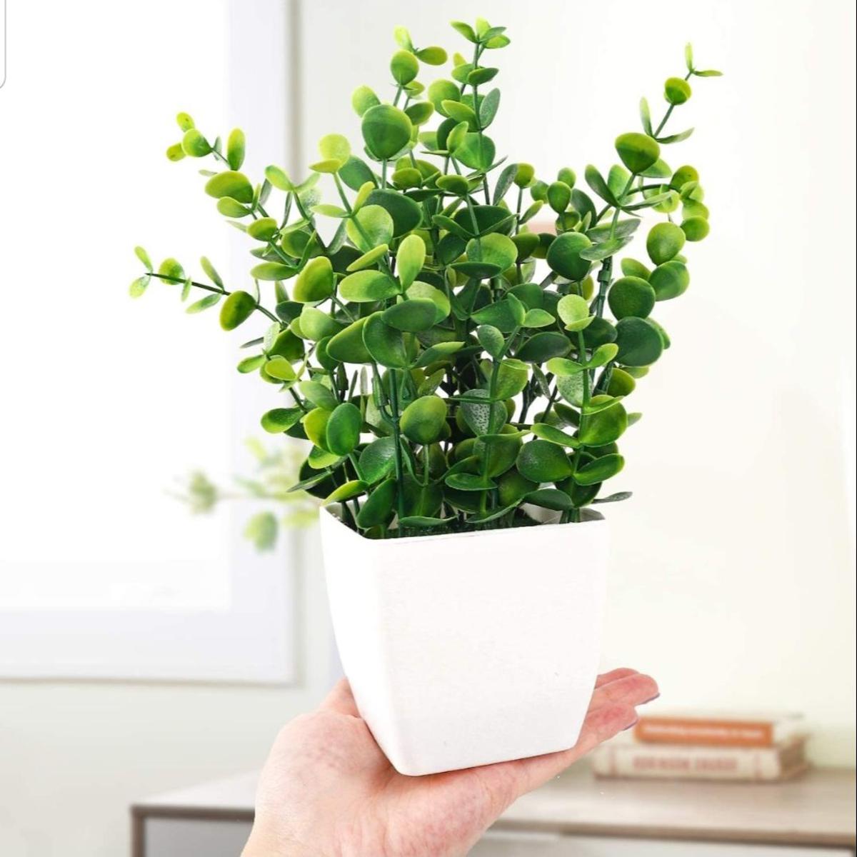 Details 172+ artificial plants for office decor latest seven.edu.vn