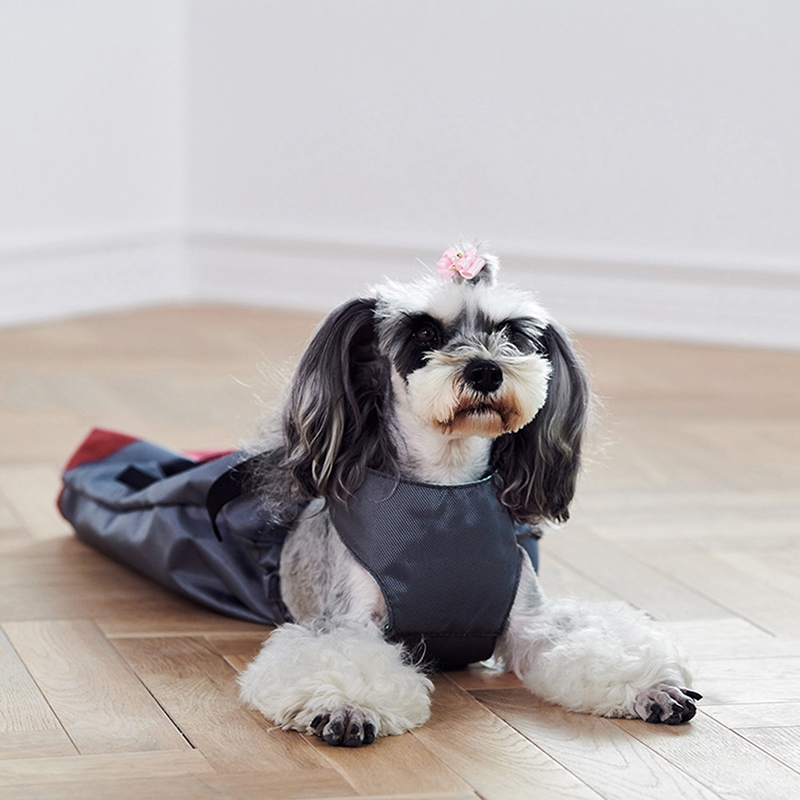 dog clothes to prevent scratching