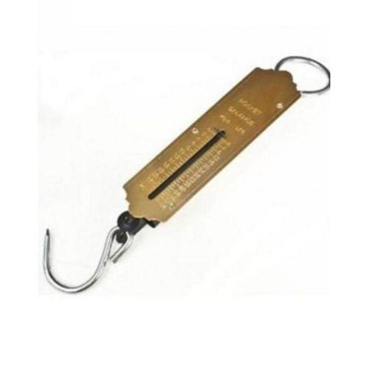 0.5 to 12 Kg - Fish Hook Weight Scale - Small Weighting Hanging Scale -  Golden