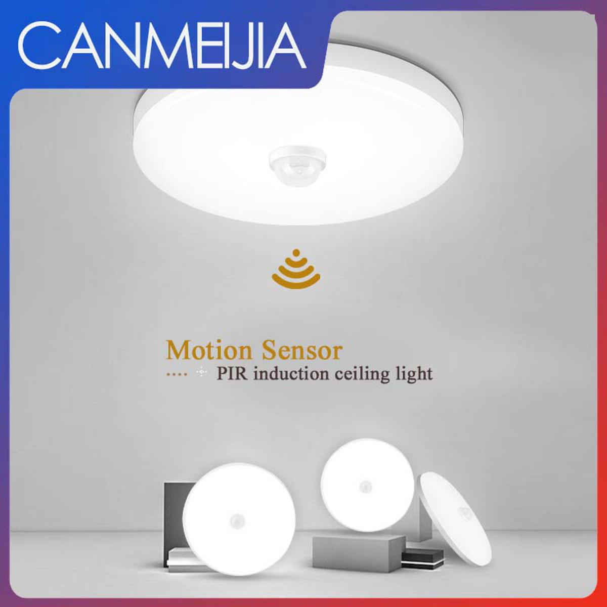 Motion Activated Indoor Ceiling Light Fixture Shelly Lighting