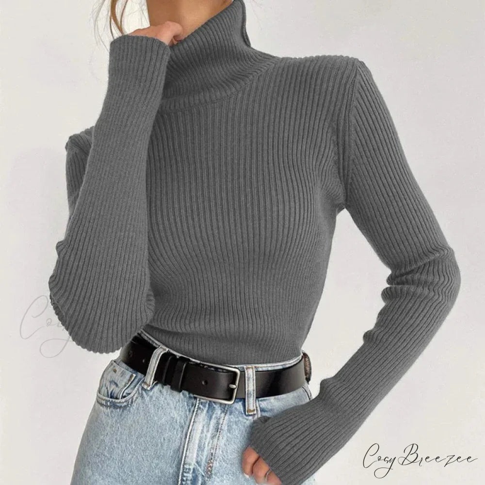 igh Neck for Women Soft Warm and Fashionable Sweater Tops for Modern Look