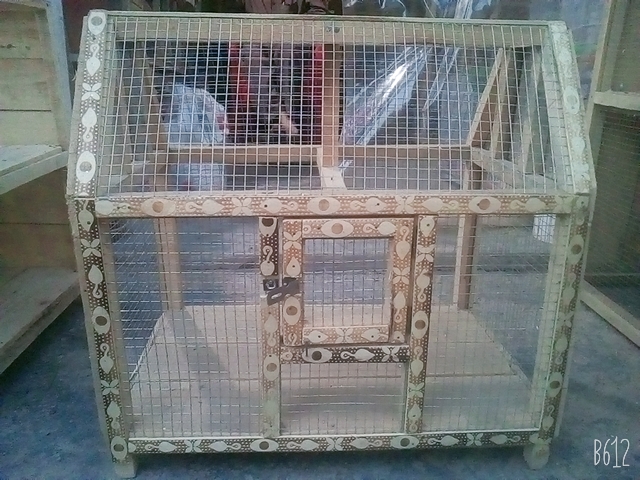 bird cage for sale olx