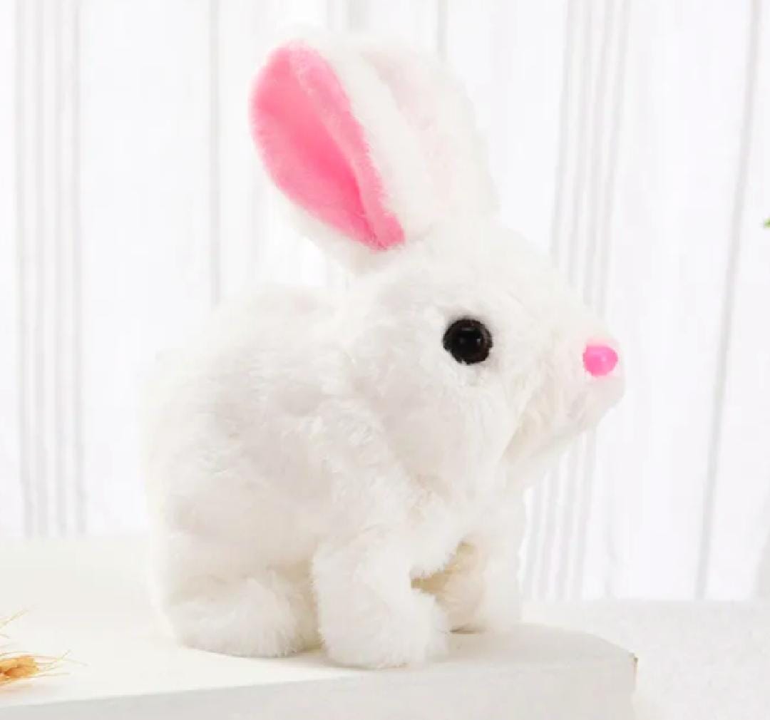 Electronic Rabbit - Toy  for children -Electronic and interactive pet - Educational Toys for kids - Rabbit for home decore - Electric push white Electronic Rabbit - Soft bunny toy for kids - Gift for childboys , Girls & kids - Rabbit Soft toy for children