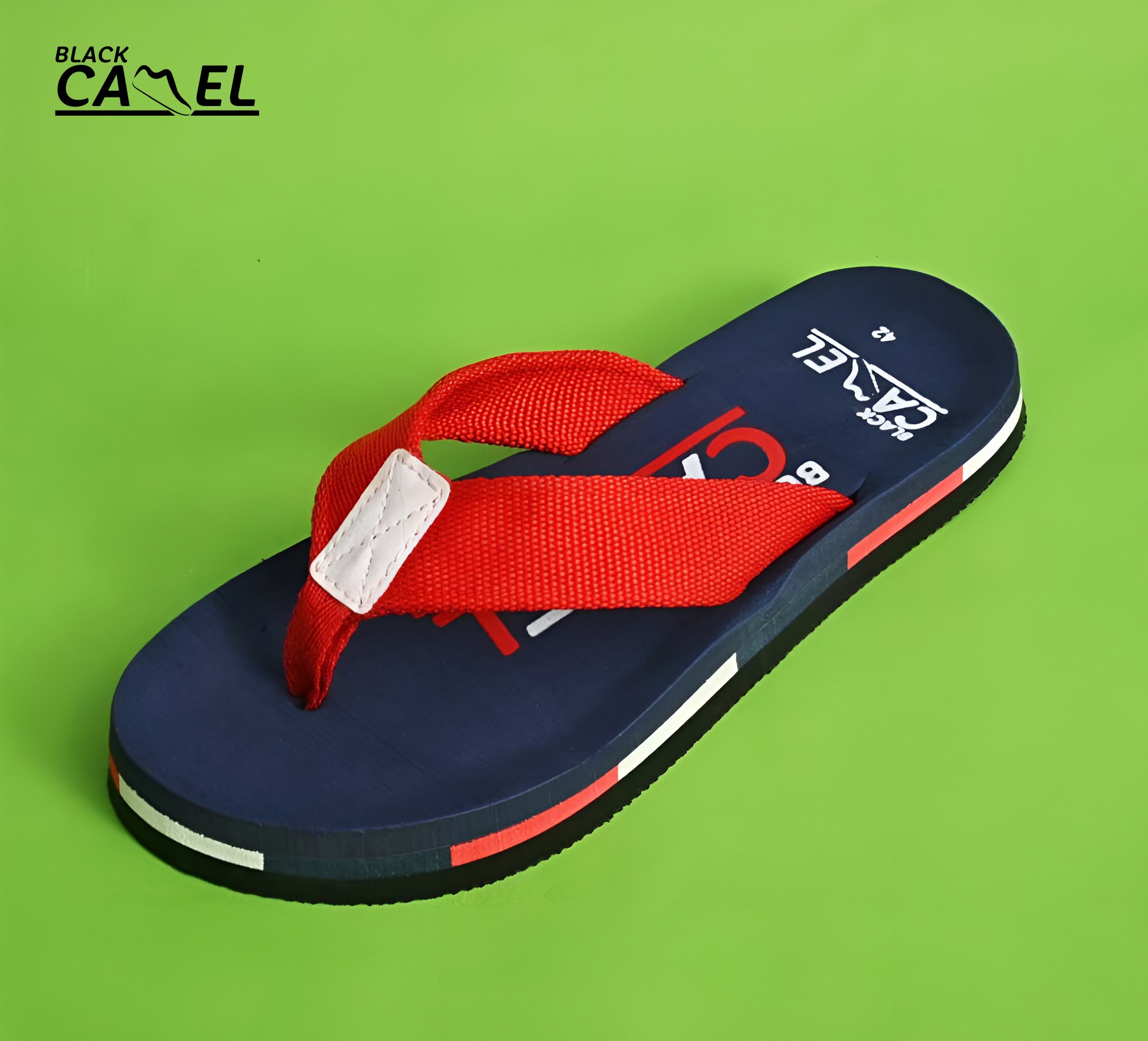 Flip Flop Slippers Casual Summer miss Fabric Multicolor sandals for men