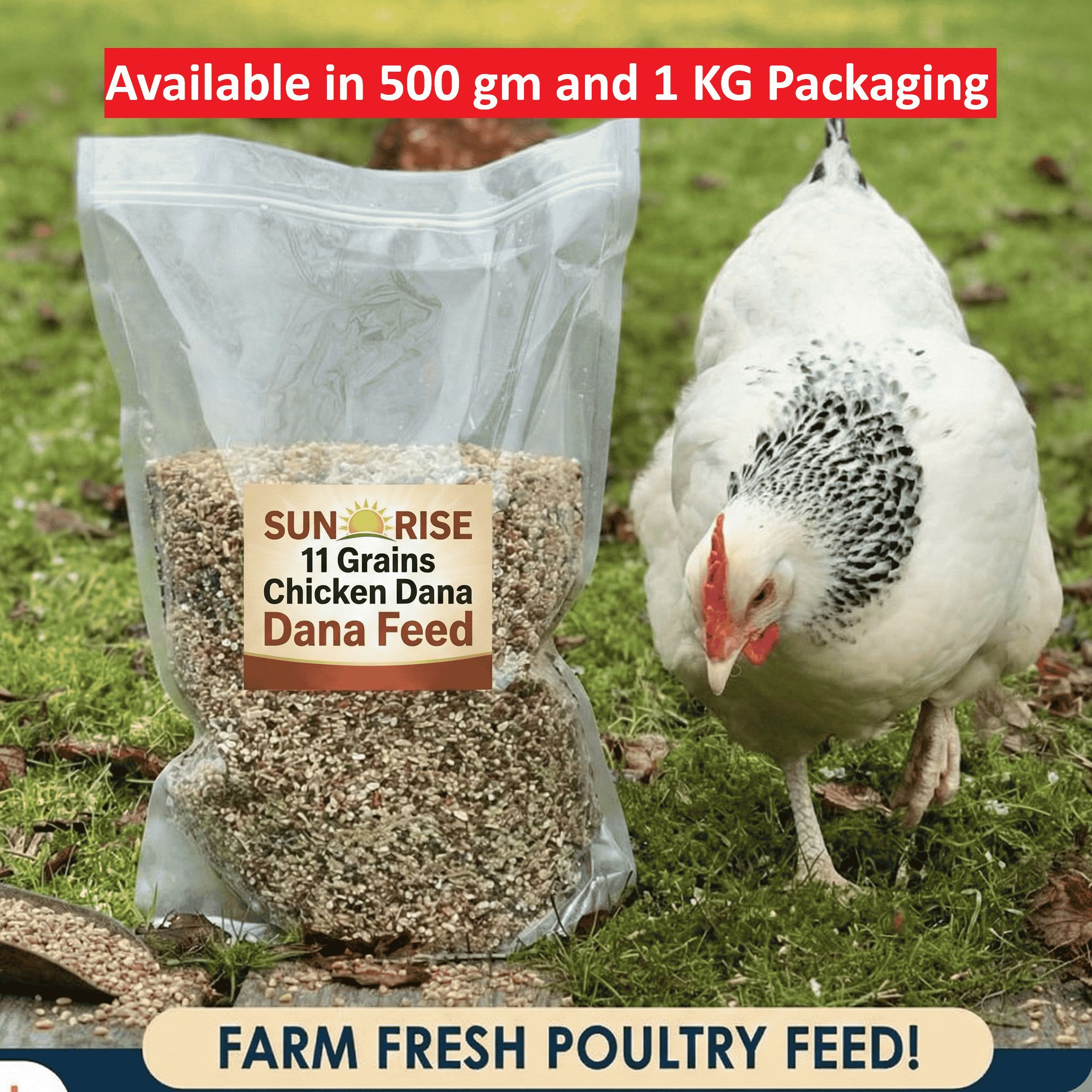SUN RISE Premium Mixed Poultry Chicken Dana Feed (500gm/1KG) – High Protein 11-Grains Mix with Vitamins & Calcium – For Chickens, Ducks & Guineafowl