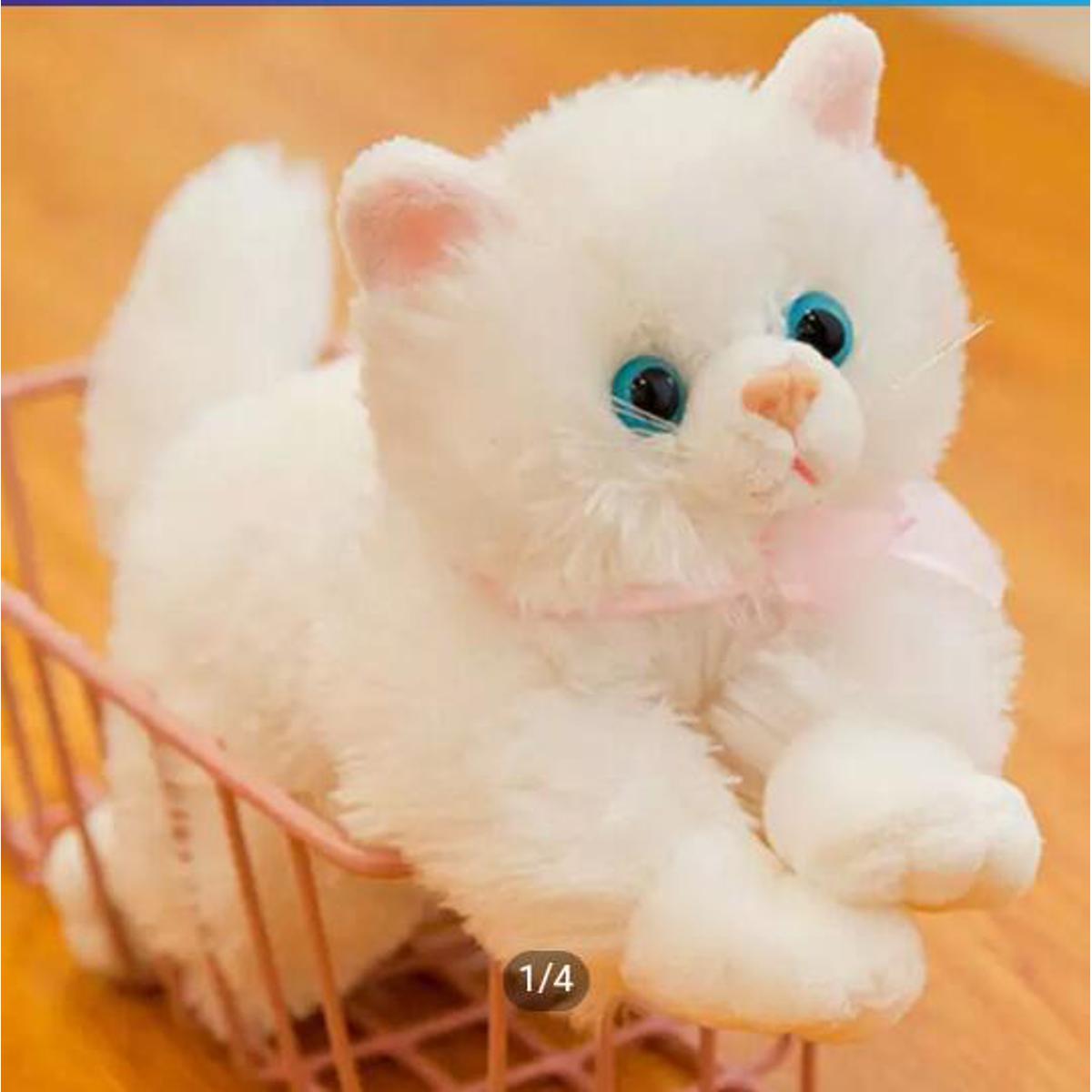 High quality Persian Cat Stuff Toy With Meow Sound For Kids Real Look Daraz.pk