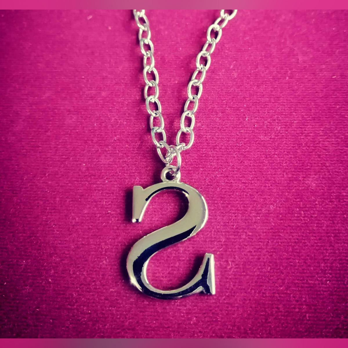 Silver Stainless S Alphabet Locket with 