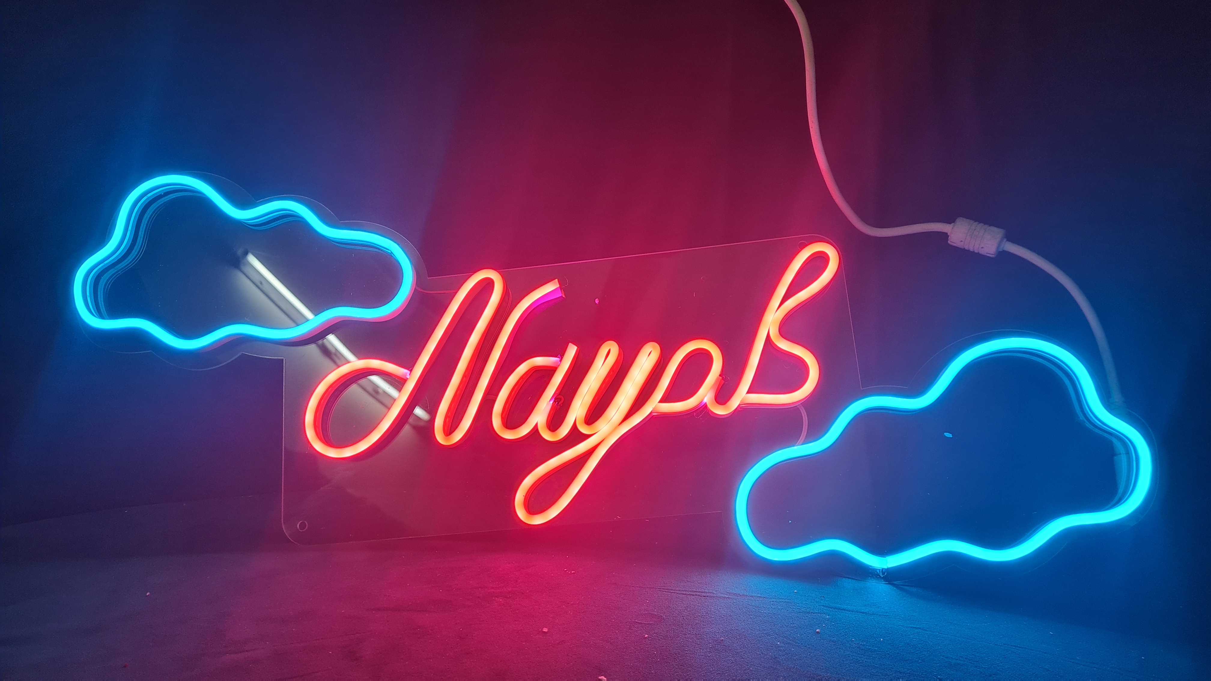 Customized Neon Sign | Neon LED Name & Logo Light Sign   | Thick Acrylic Backplate | Shockproof | 6 Colors | Room Decor | Birthday & Wedding Gift | Gaming Room | Bedroom | Salon | Pakistan| 0.5M to 5M