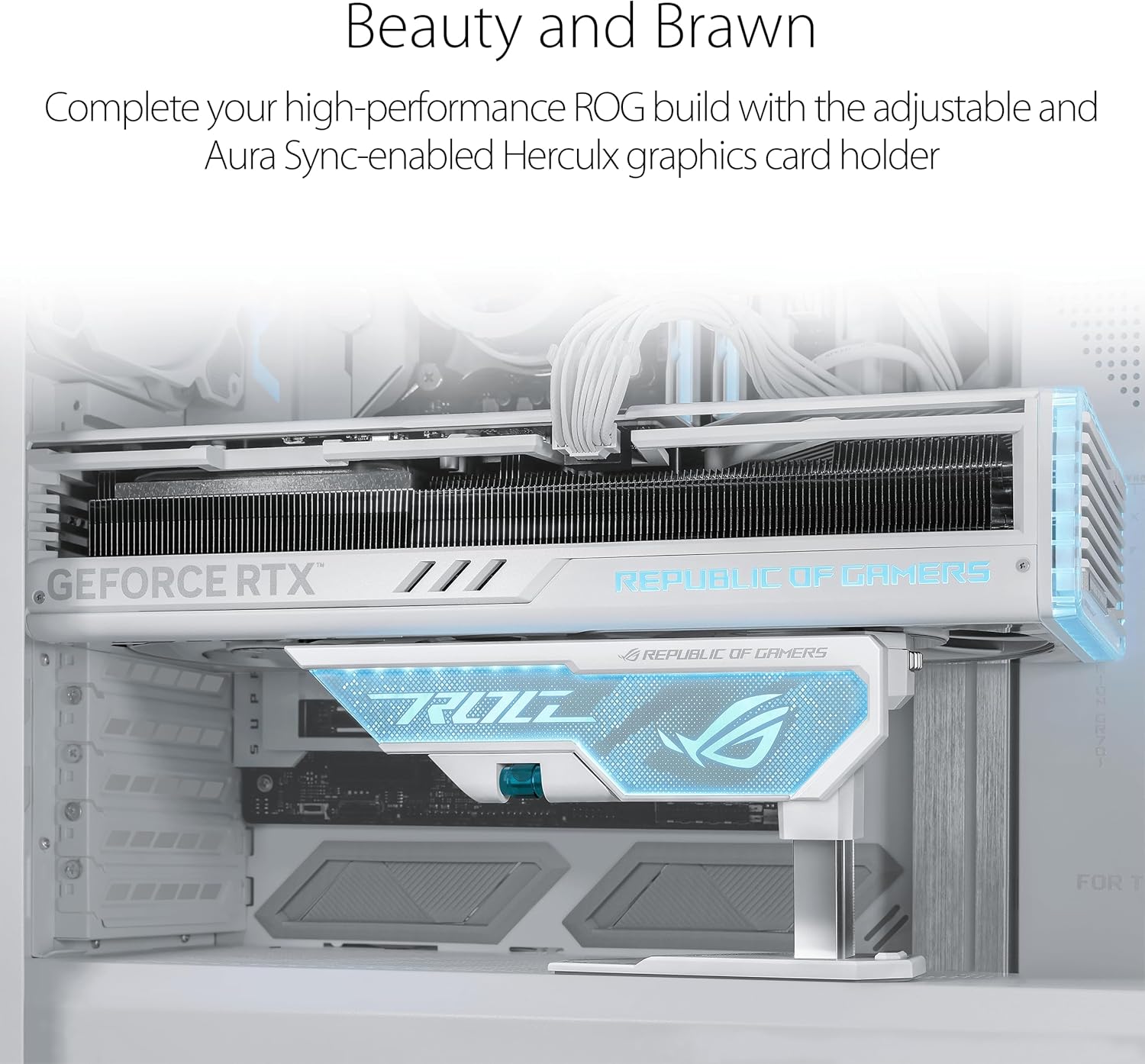 ASUS ROG Herculx White Graphics Card Holder securely fortifies even the most powerful cards, plus offers an easy-to-use design and extensive compatibility (XH01) 13 1a8980a6dfa5488332ed1f0bd88ad378