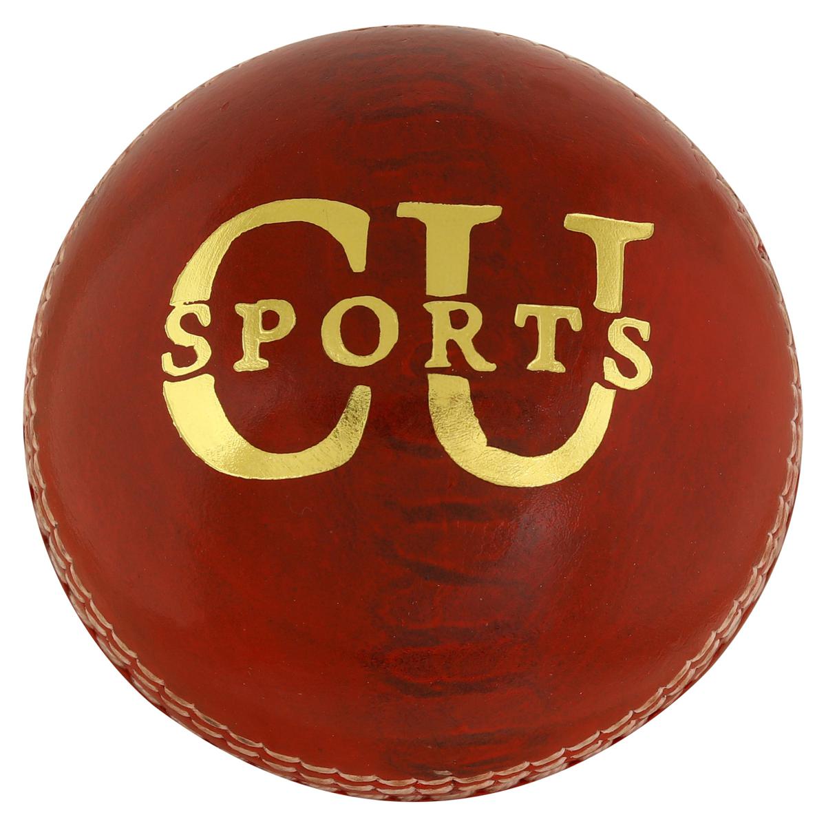 Cricket Hard Leather Ball Machine Stitched