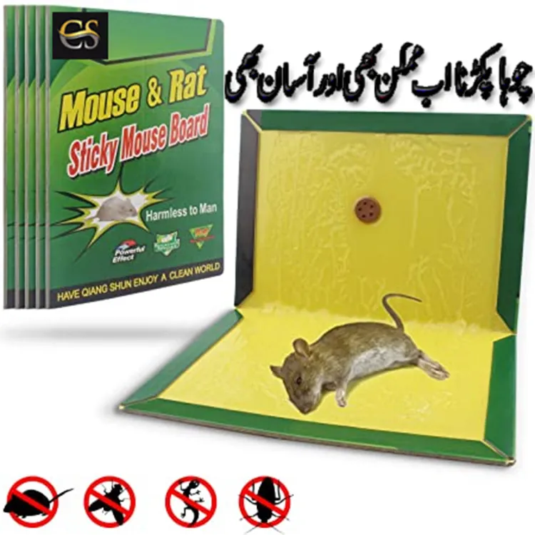 Mouse Killer Glue & Rat Killer Glue Rat Trap Adhesive Sticky Glue