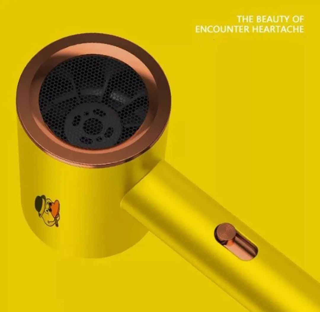 Compact Blow Hair Dryer