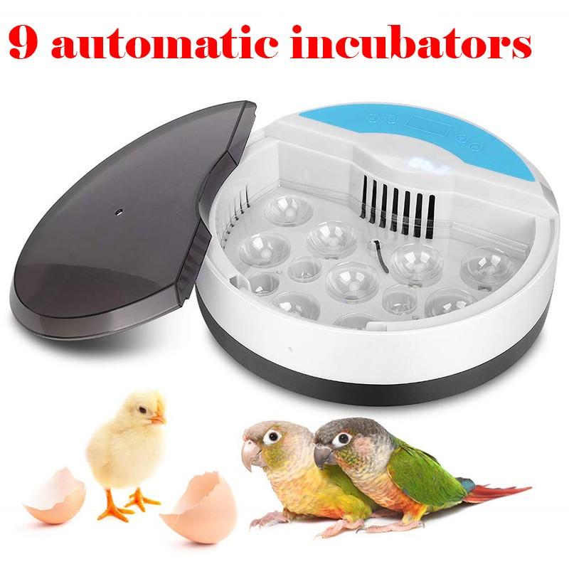 Egg Incubator for Hatching Chicks, Fully Automatic Digital Poultry