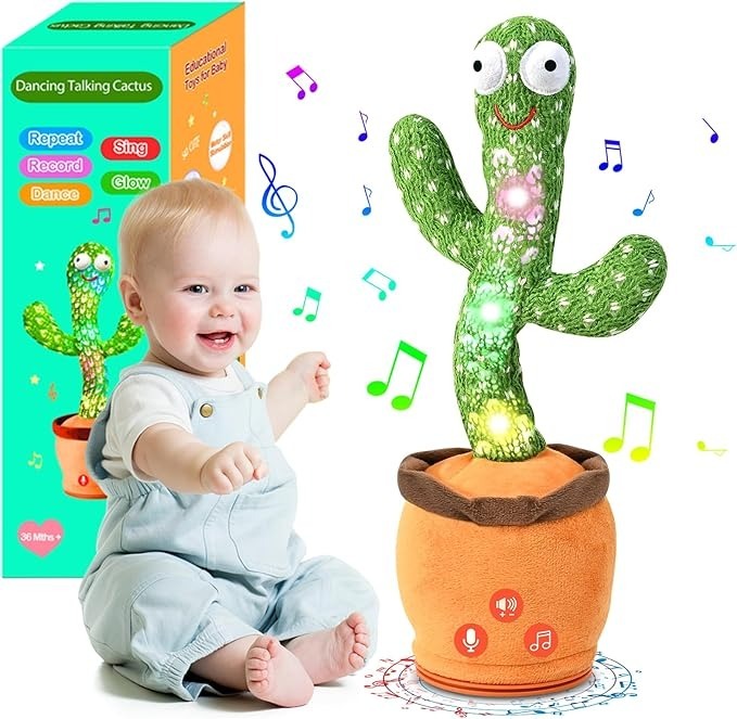 Buy bolne wala cactus Online at Best Price in Pakistan - Daraz.pk