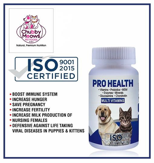 Pro Health Multi Vitamin Price in Pakistan View Latest Collection of