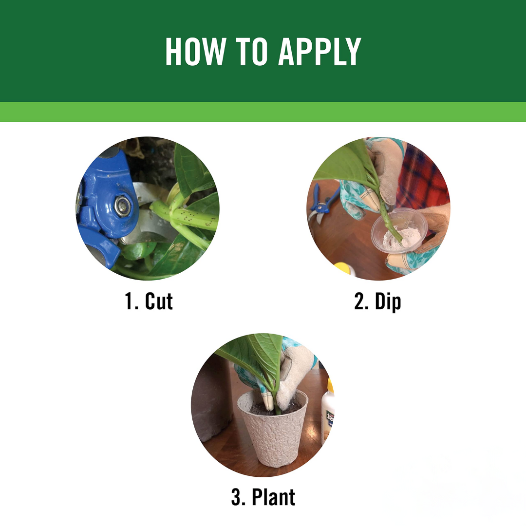 Rooting Hormone Powder for Plants - Rooting Hormone for Cuttings ...