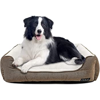 super comfy dog beds