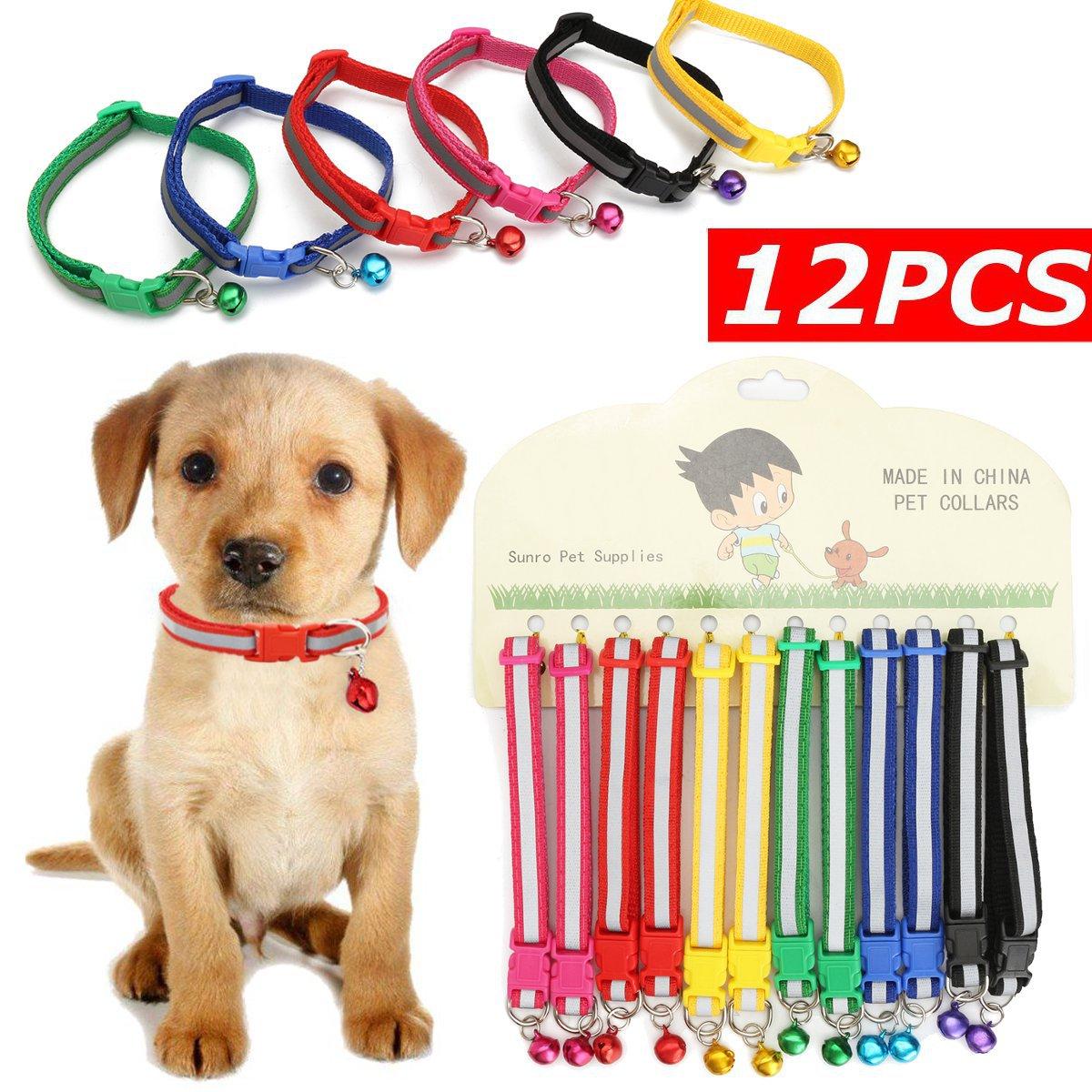 dog accessories daraz