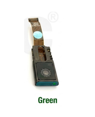 Greenithout