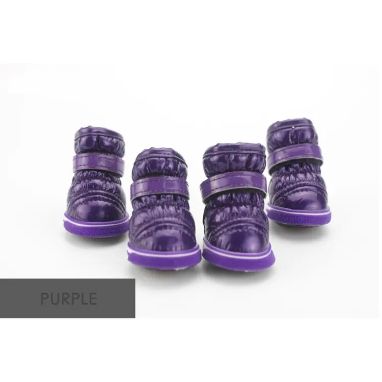 Purple deals dog shoes