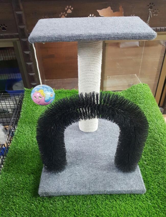 cat arch scratcher post