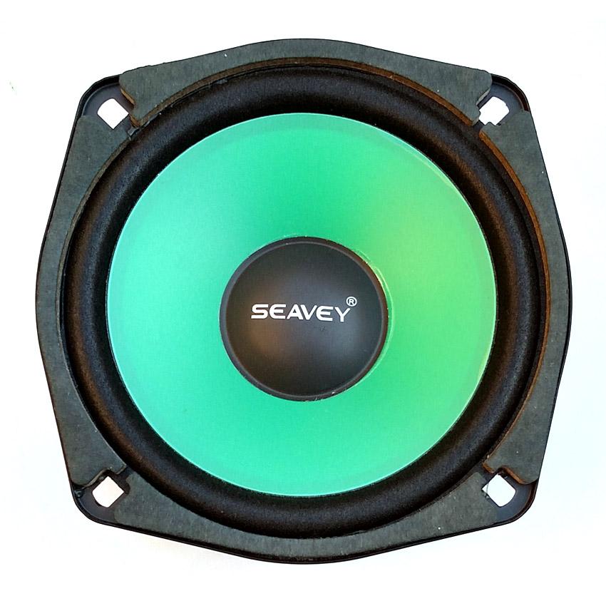 100 watt 4 ohm speaker