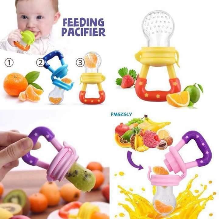fresh food & fruit feeding pacifier