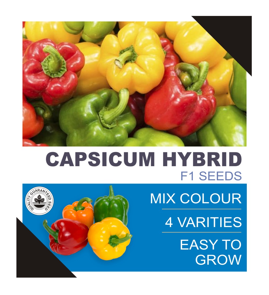 capsicum colours