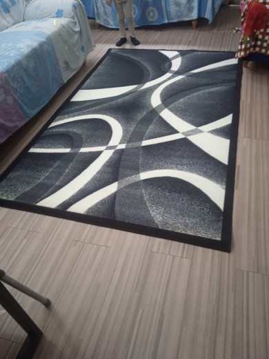3ft x 5ft Area Rug Carpet Centerpiece for Living Room or Bedroom Durable Decorative Floor Rug
