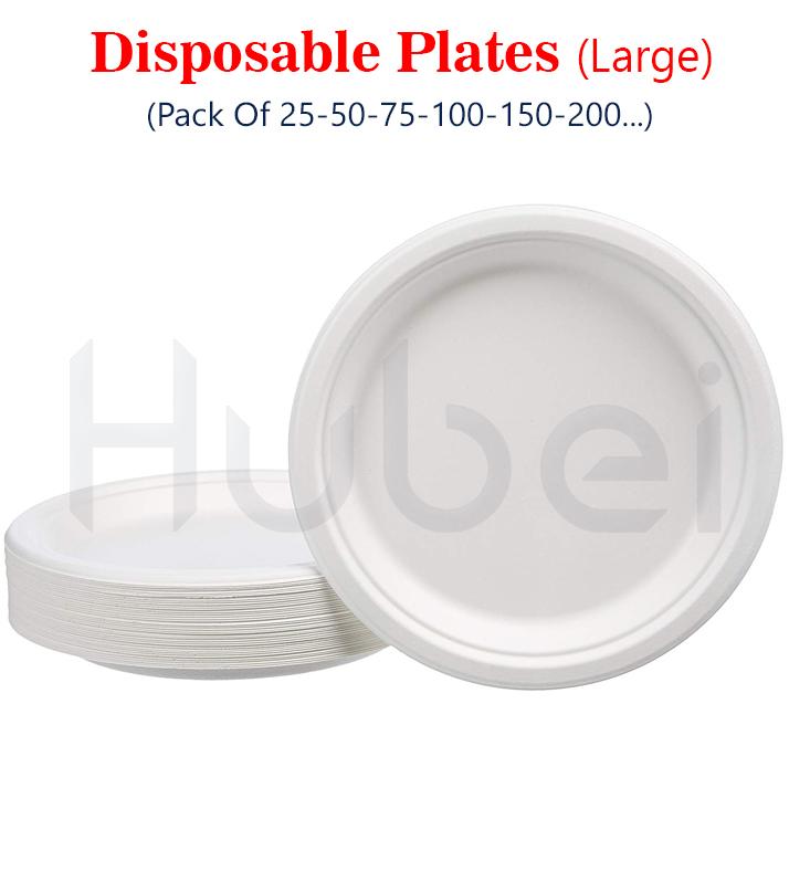 large plastic party plates