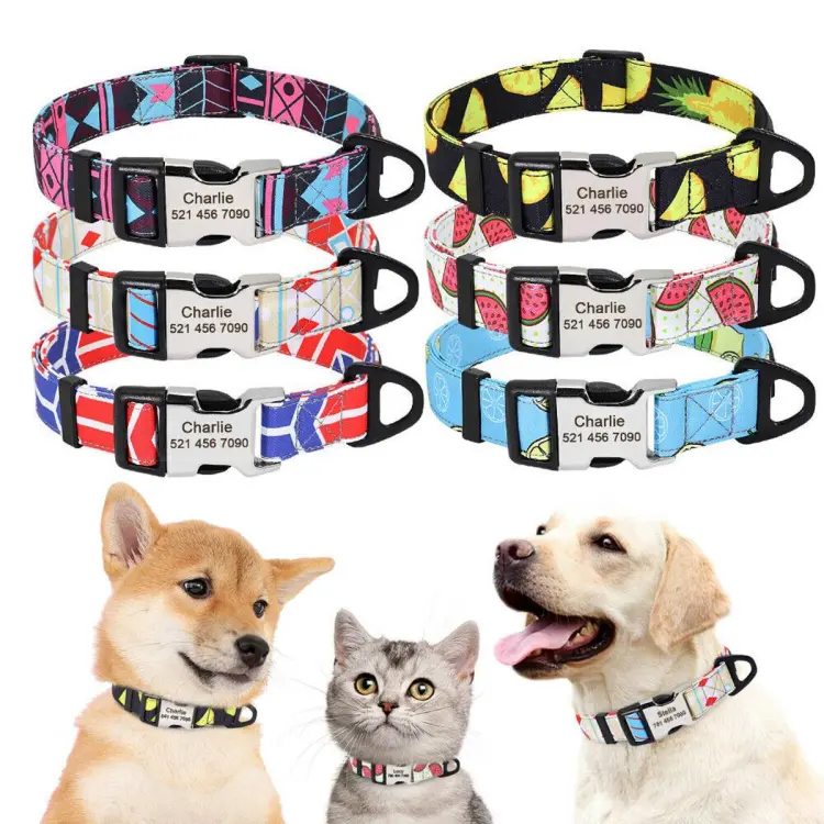 Adjustable Nylon Personalized Dog Collar with Custom Engraved