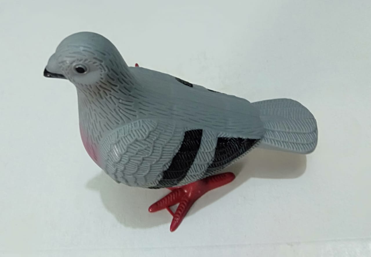 small pigeon toy